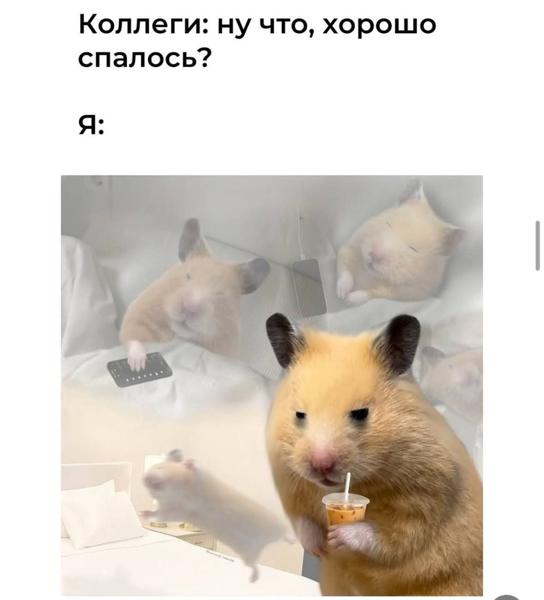 Изображение публикации