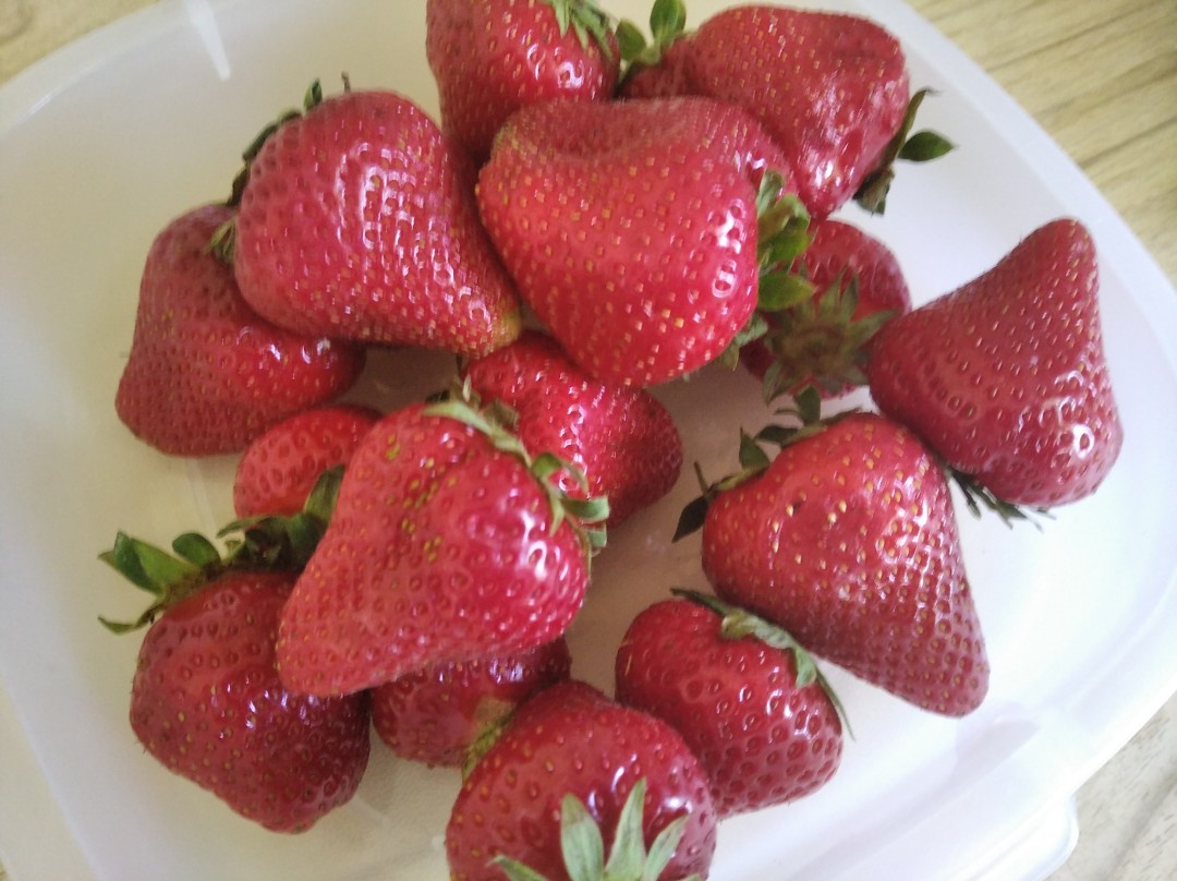 Изображение публикации