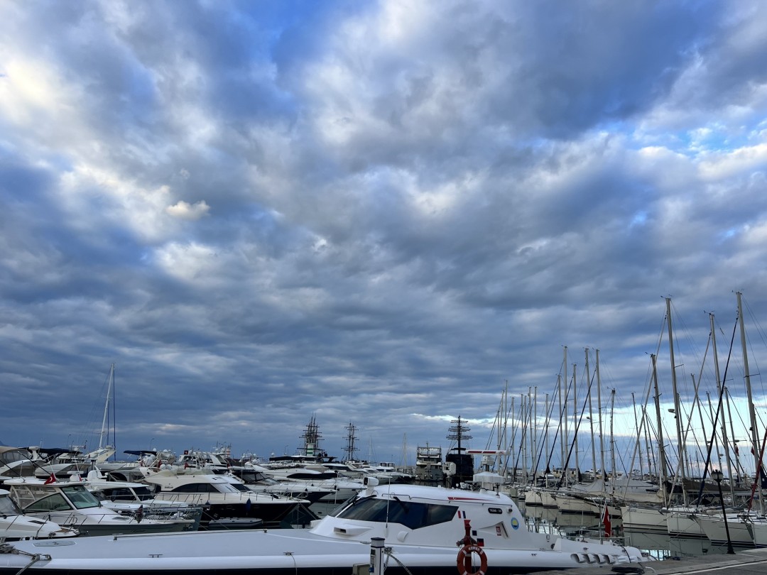 Изображение публикации