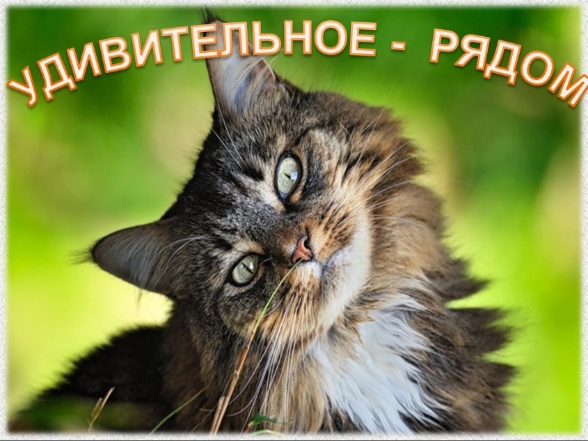 Изображение публикации