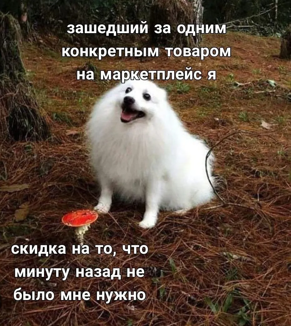 Изображение публикации