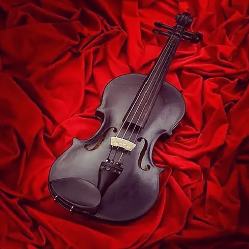 Изображение публикации