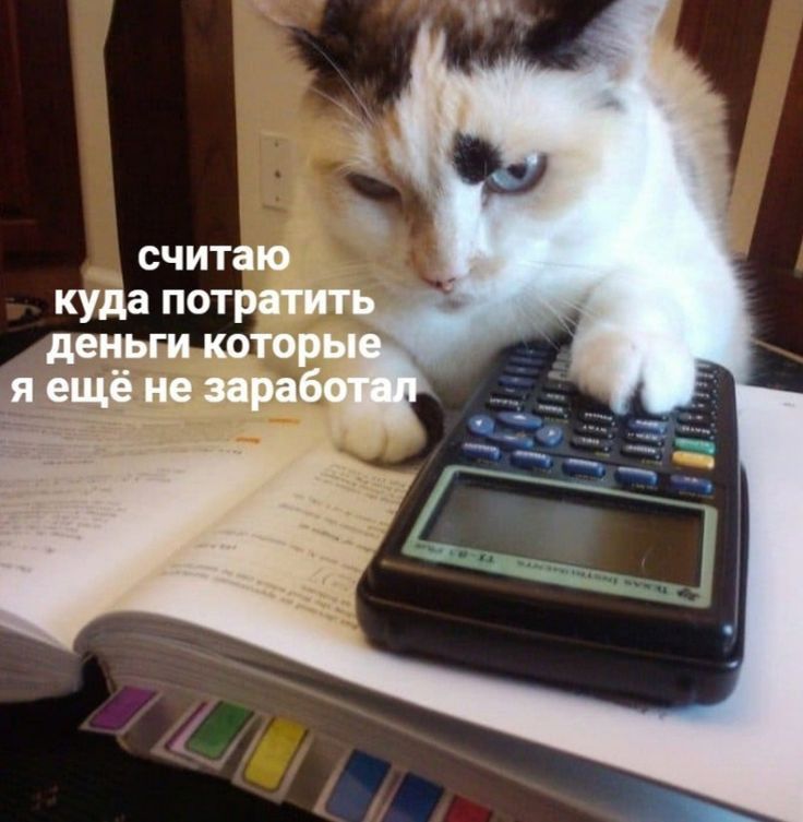 Изображение публикации