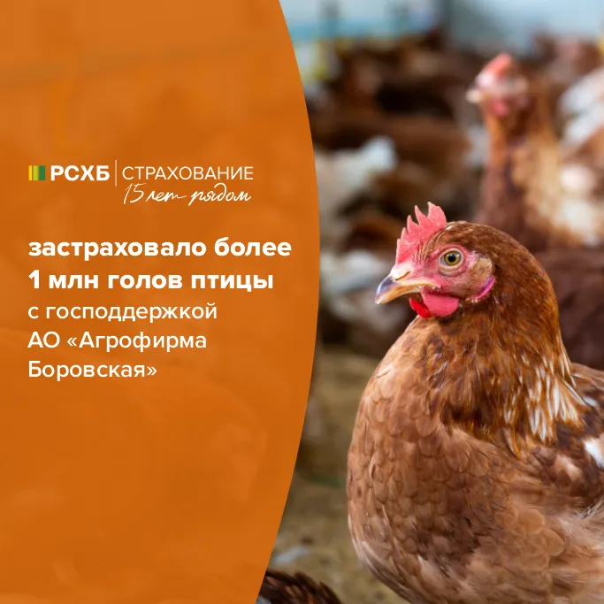 Изображение публикации