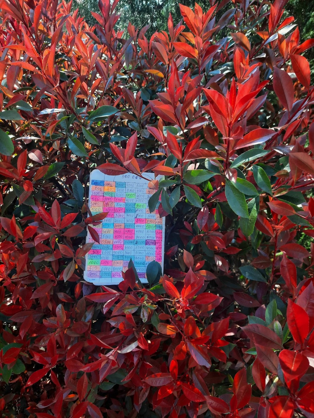 Изображение публикации