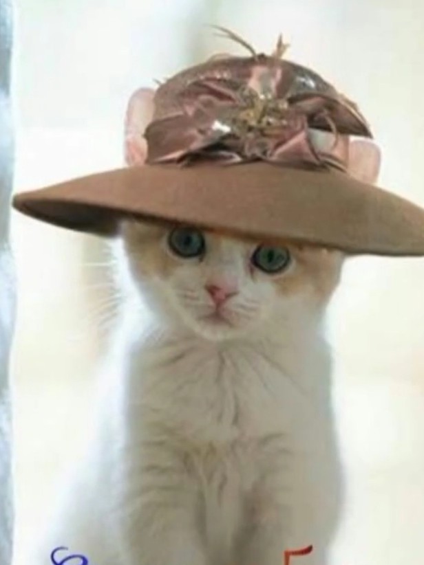 Изображение публикации