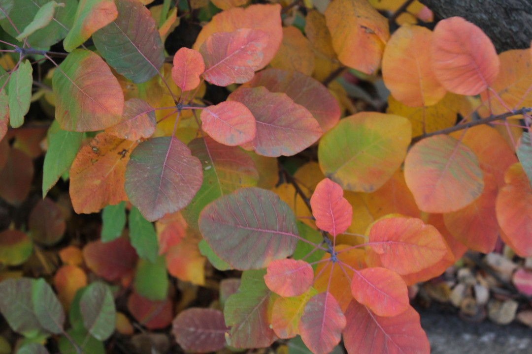 Изображение публикации