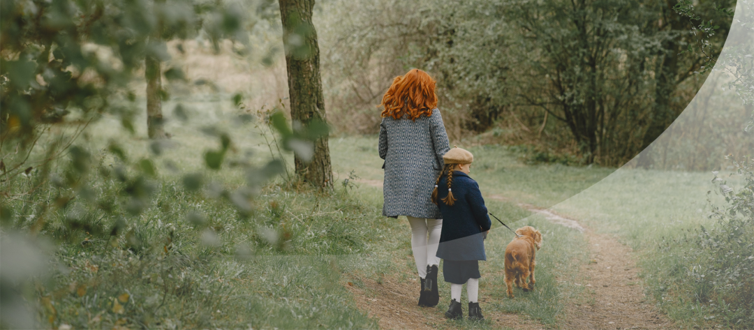 Изображение публикации