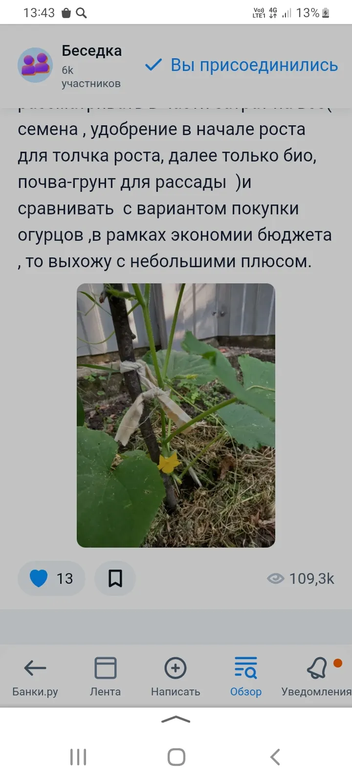 Изображение публикации
