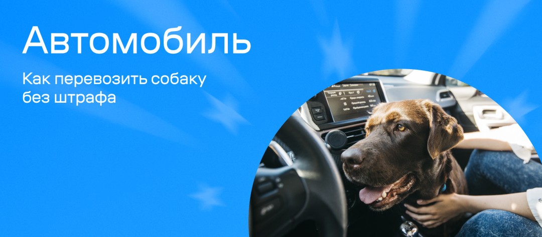 Изображение публикации
