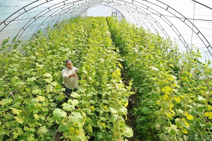 Изображение публикации