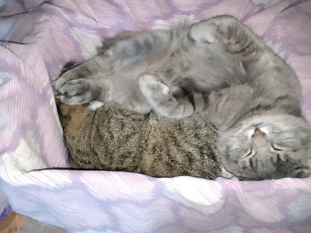 Изображение публикации