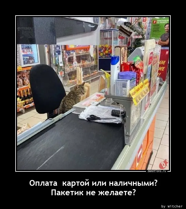 Изображение публикации
