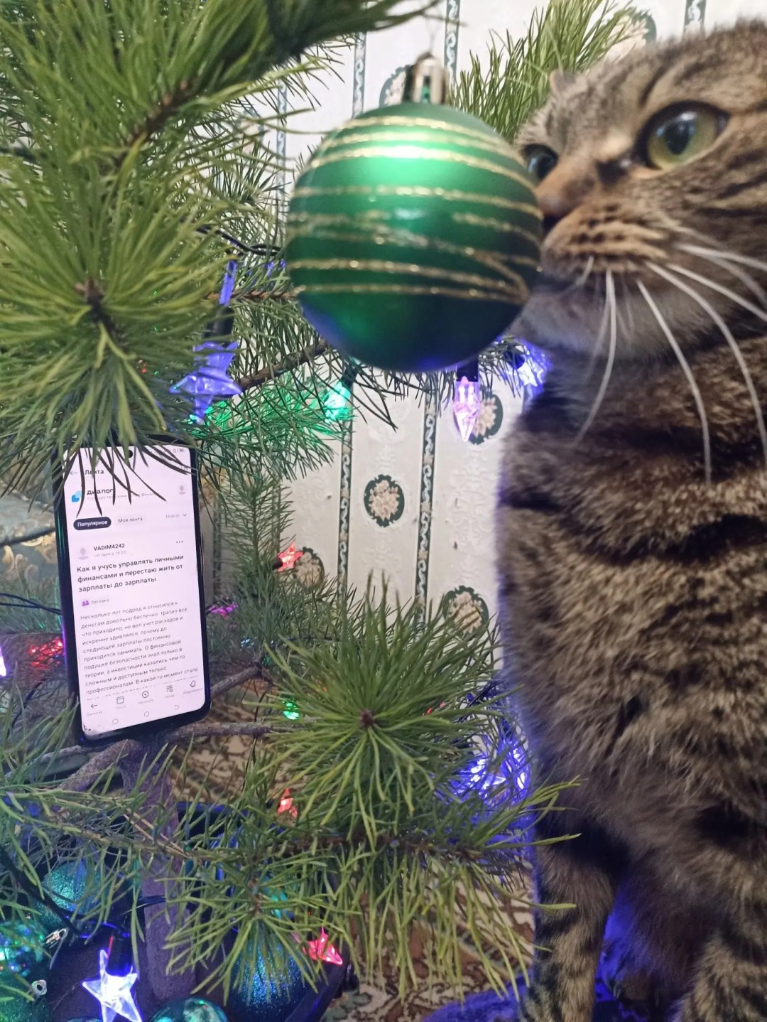 Изображение публикации