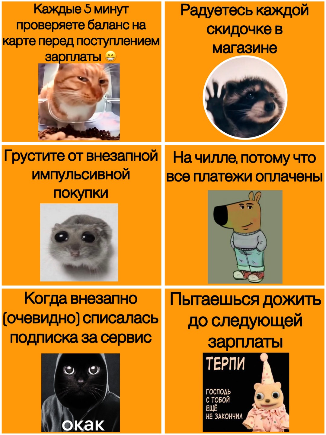 Изображение публикации