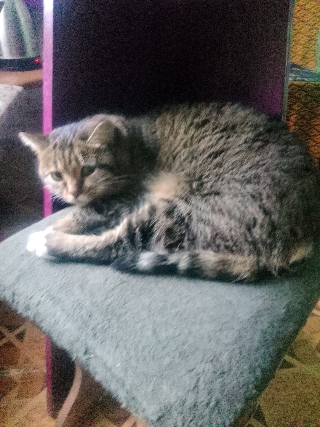 Изображение публикации