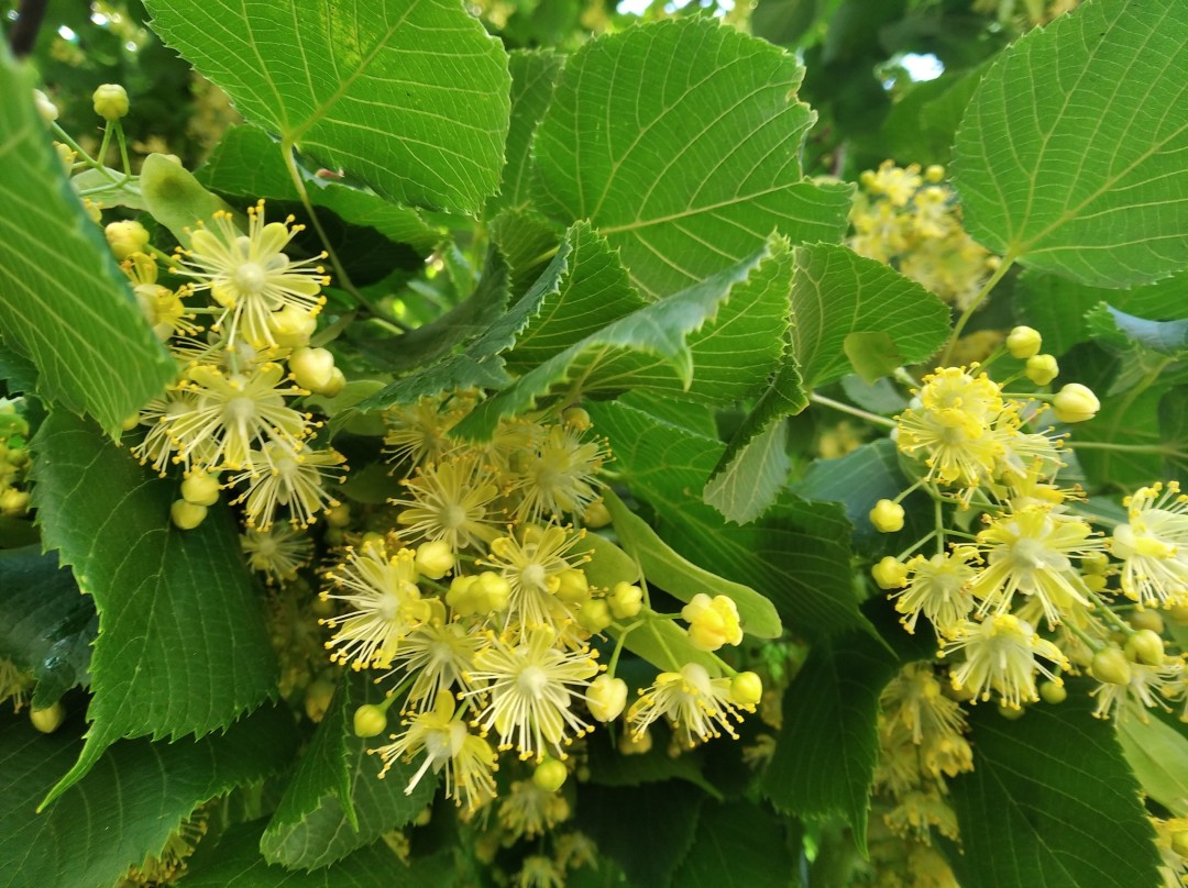 Изображение публикации