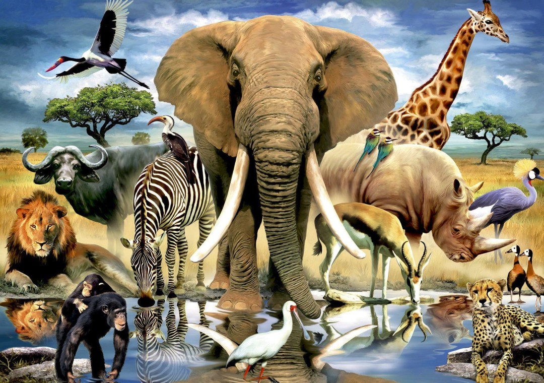 Изображение публикации