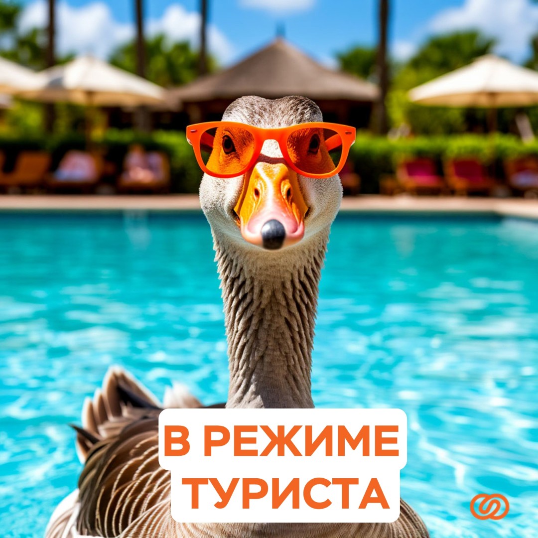 Изображение публикации