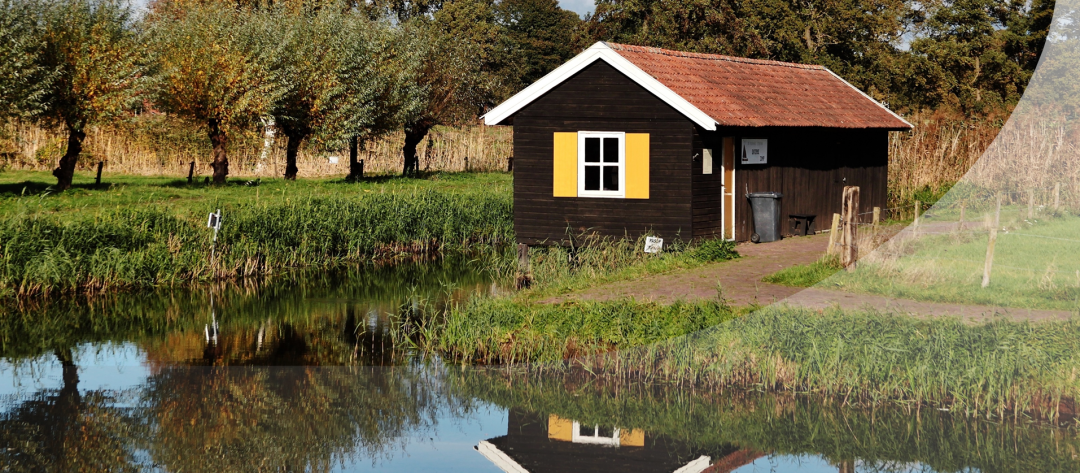 Изображение публикации