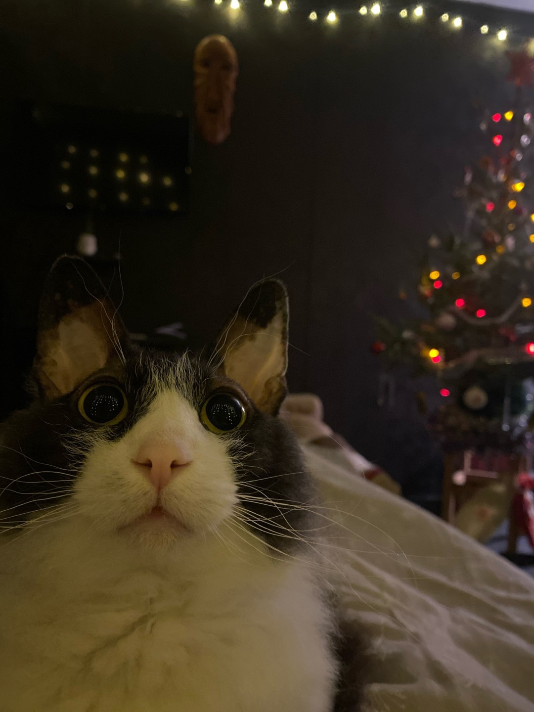 Изображение публикации