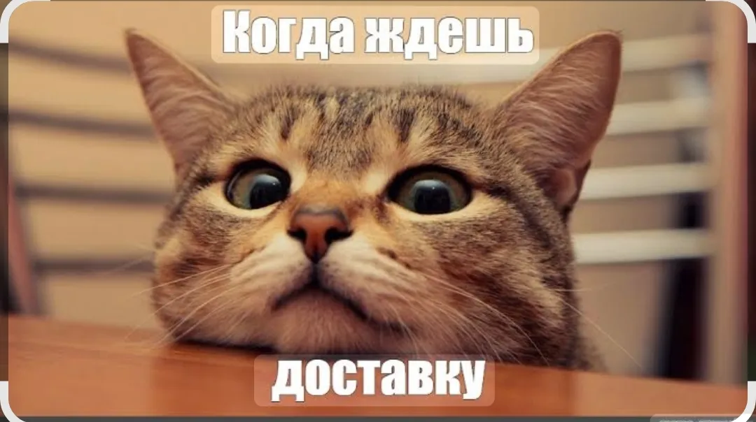 Изображение публикации