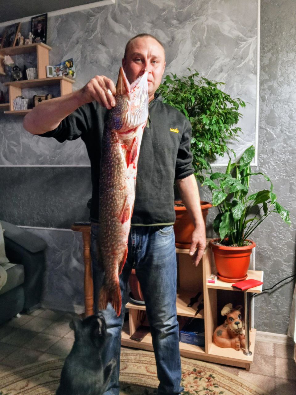 Изображение публикации