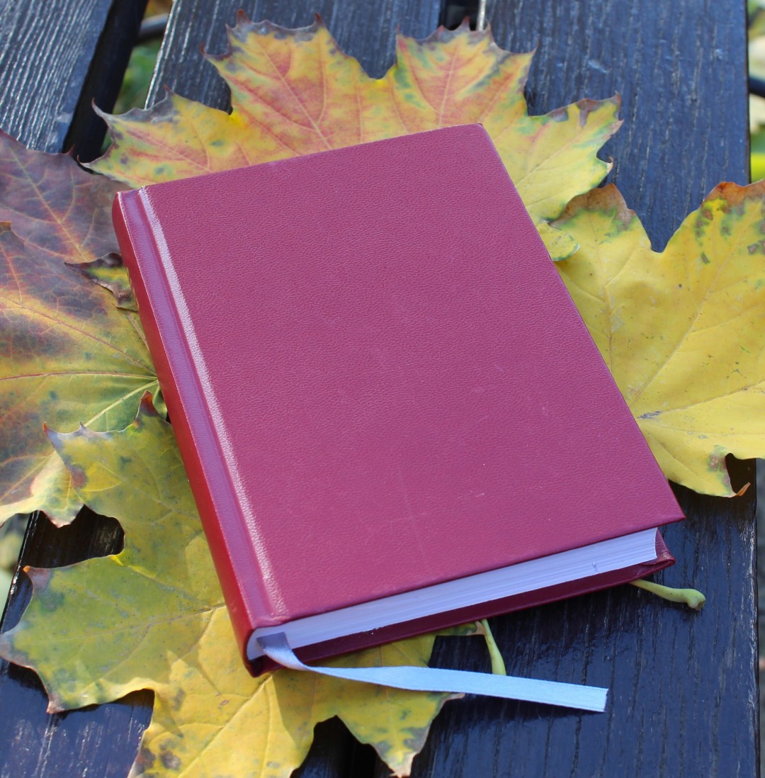 Изображение публикации