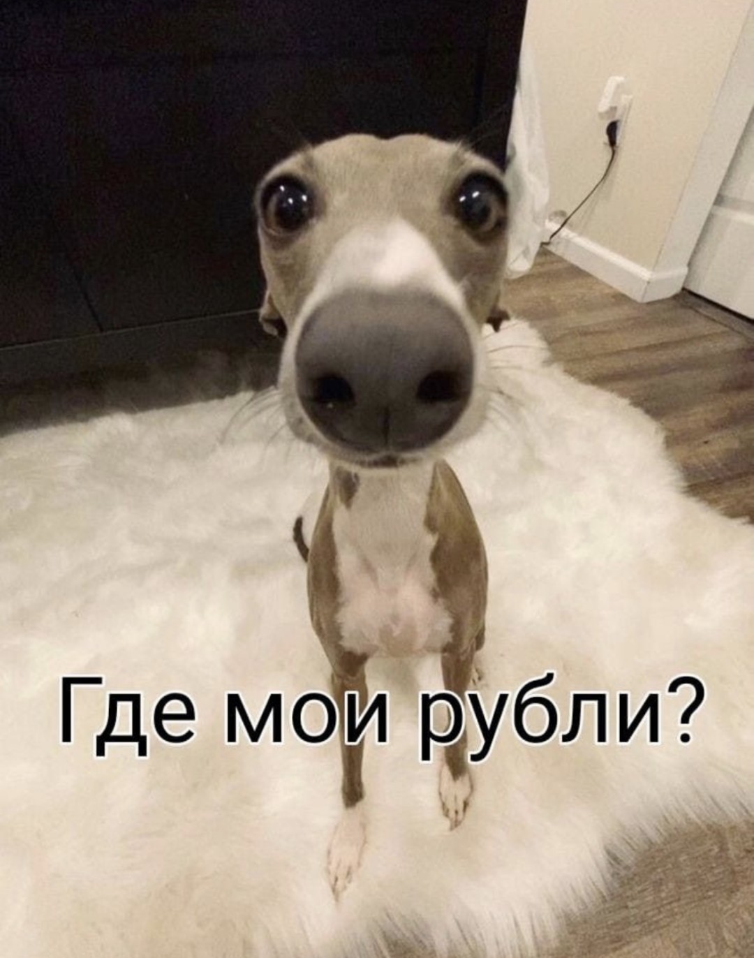 Изображение публикации
