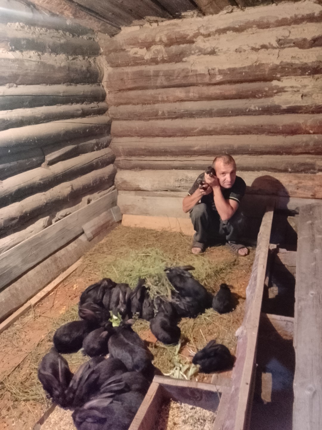 Изображение публикации