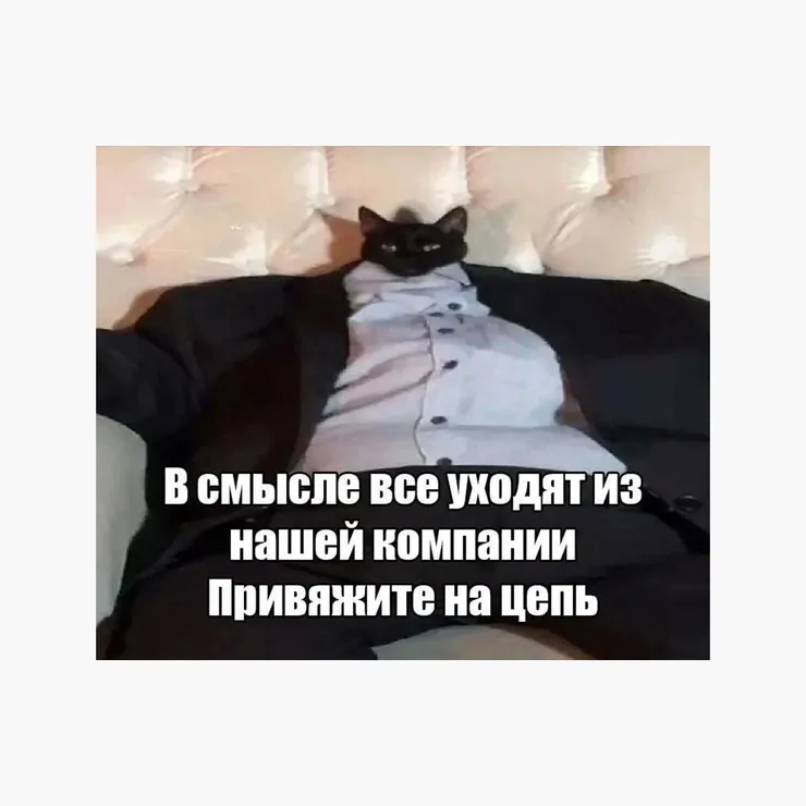 Изображение публикации