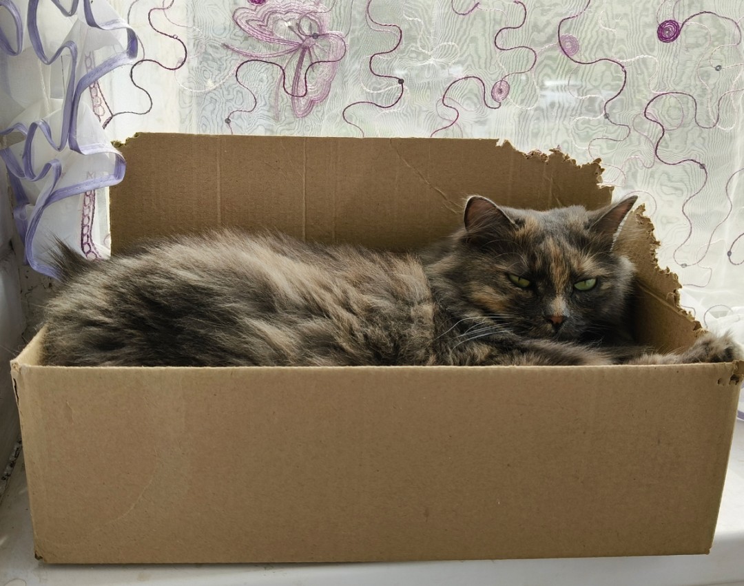 Изображение публикации