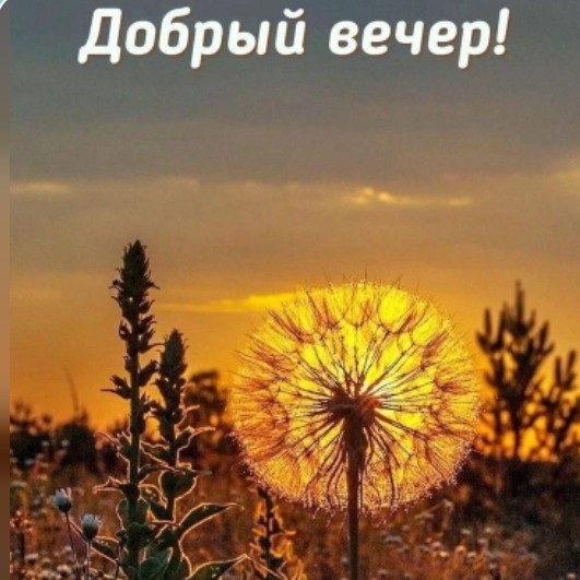 Изображение публикации