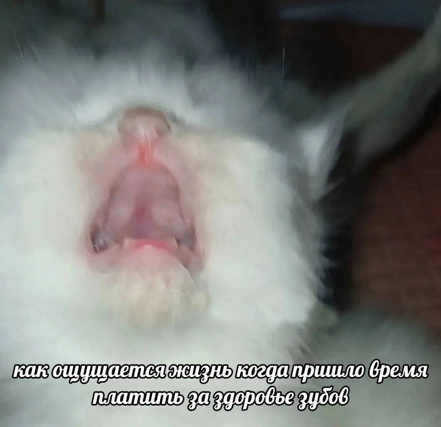 Изображение публикации