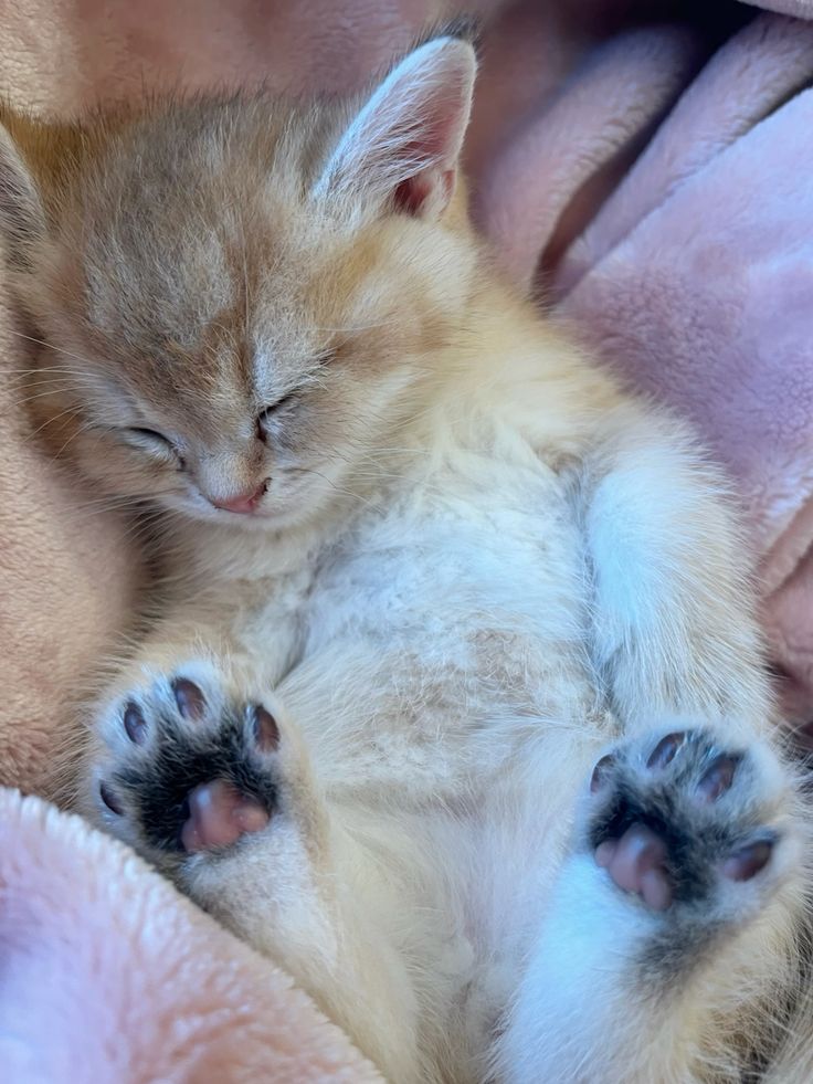 Изображение публикации