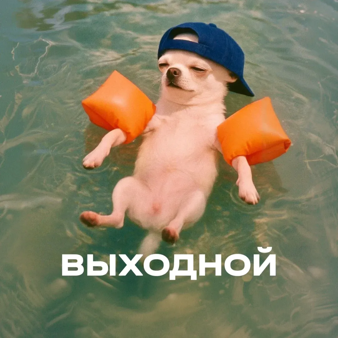 Изображение публикации