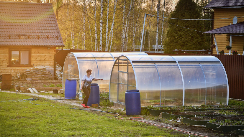 Изображение публикации