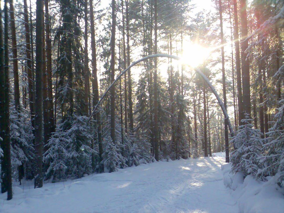 Изображение публикации