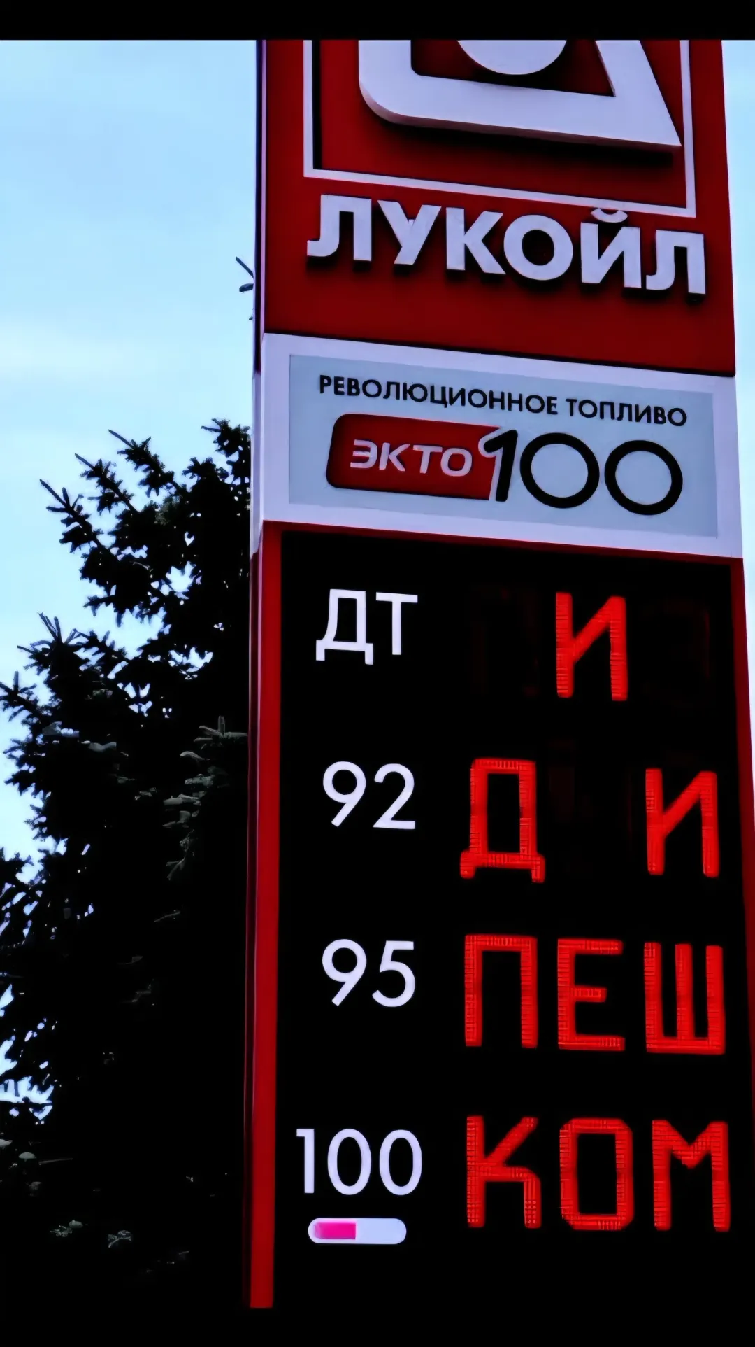 Изображение публикации