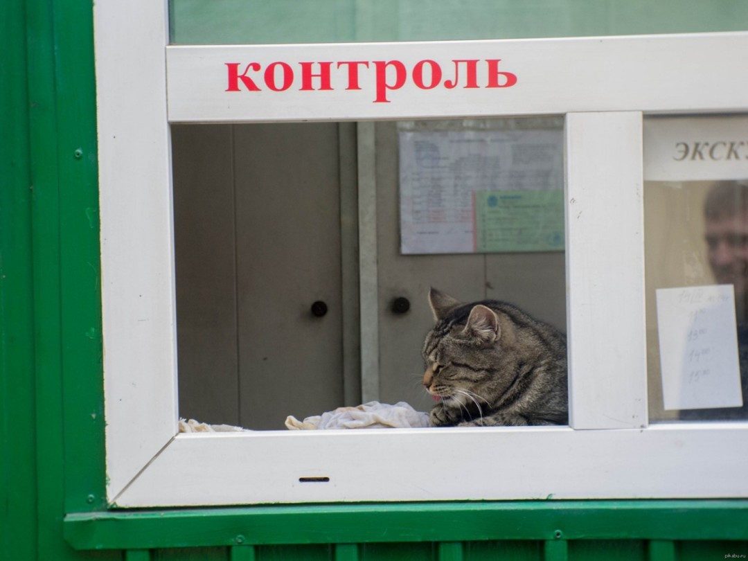 Изображение публикации