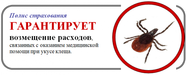 Изображение публикации